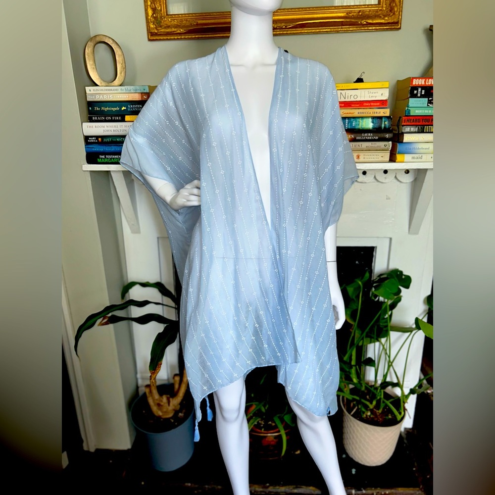 Sheer Baby Blue Cover-Up